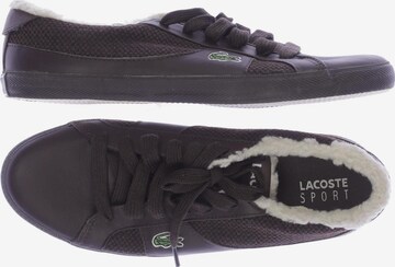 LACOSTE Sneakers & Trainers in 40 in Brown: front