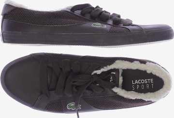 LACOSTE Sneaker 40 in Braun: predná strana