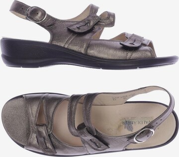 WALDLÄUFER Sandals & High-Heeled Sandals in 39 in Grey: front
