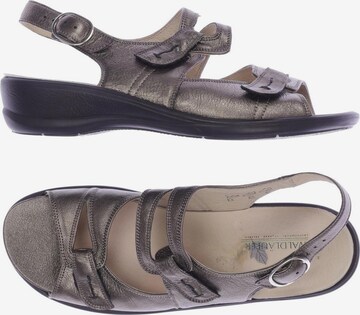 WALDLÄUFER Sandalen 39 in Grau: predná strana