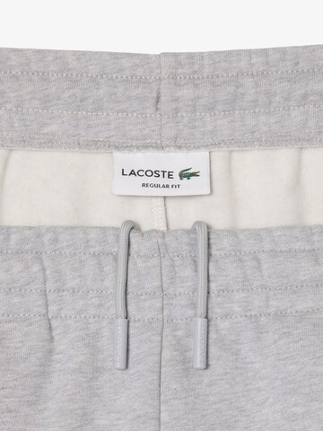 LACOSTE Regular Pants in Grey