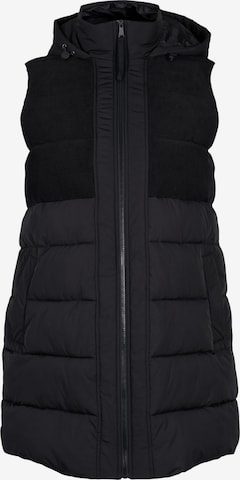 Gilet Zizzi en noir : devant