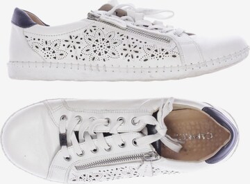 CAPRICE Sneakers & Trainers in 40 in White: front