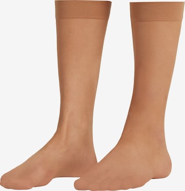 CALZEDONIA Fine Stockings in Beige: front
