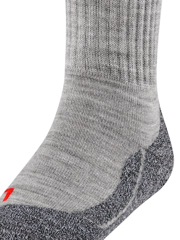 FALKE Socks 'Active Warm' in Grey