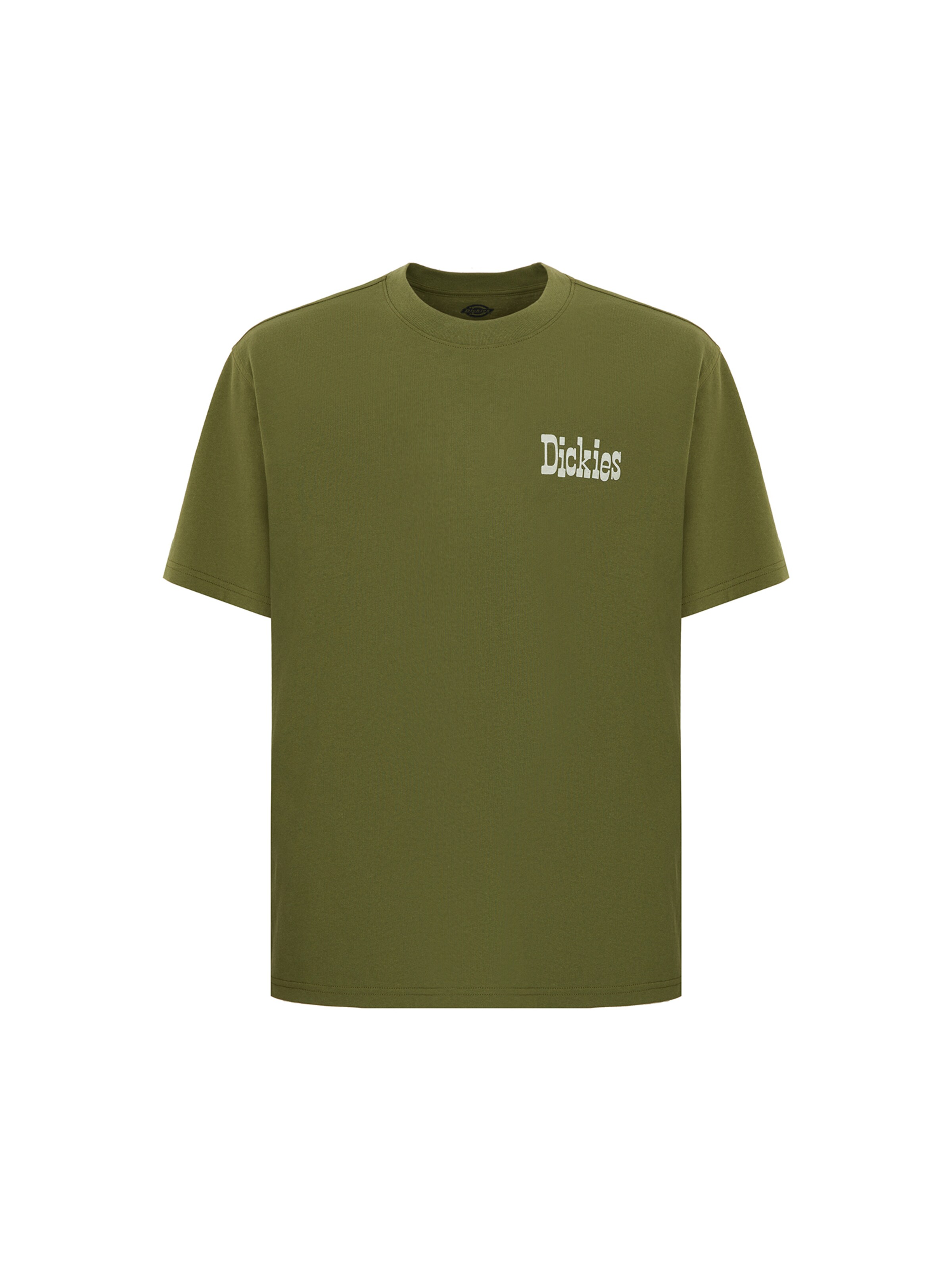 DICKIES Bluser & t-shirts 'Vernal' i grøn: forside