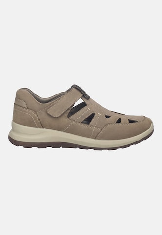 JOSEF SEIBEL Schnürschuh 'MARLEY 01' in Beige