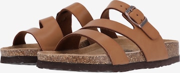 Cruz Sandals 'Barhil' in Brown