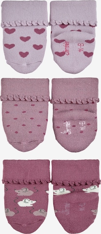STERNTALER Socken in Lila