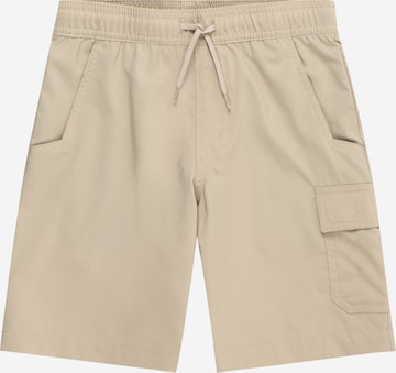 COLUMBIA - regular Pantalón deportivo 'Silver Ridge' en beige: frente