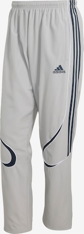 ADIDAS ORIGINALS Trousers 'Teamgeist Adicolor' in Grey: front