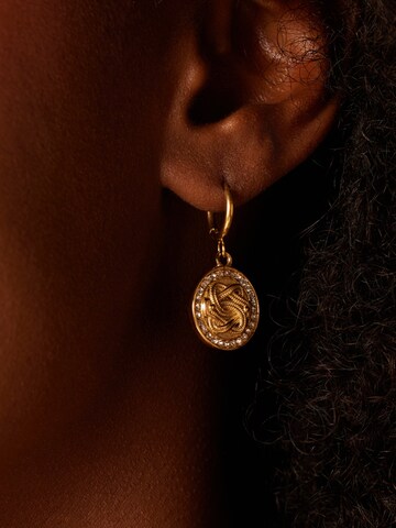 Lucardi Earrings in Gold