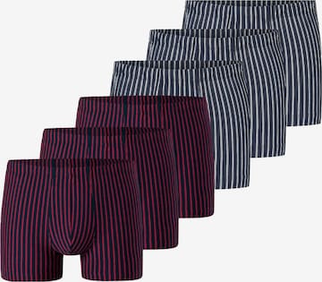 SCHIESSER Boxershorts '95/5 Essentials Organic Cotton' in Rood: voorkant