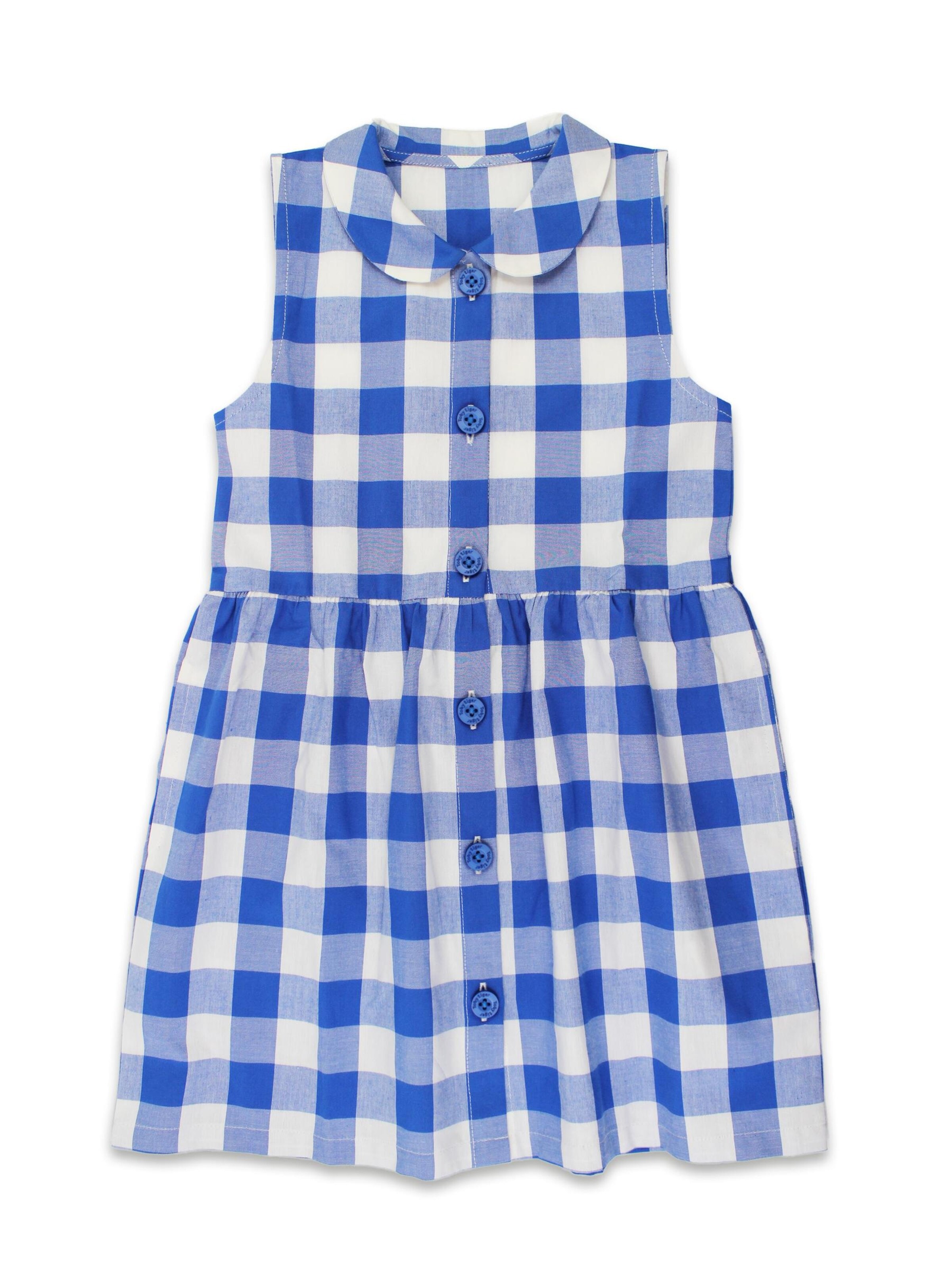 Toby Tiger Dress in Blue: front