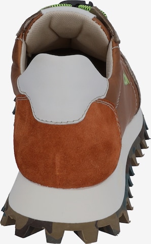 JOSEF SEIBEL Sneakers 'BONNIE 01' in Brown