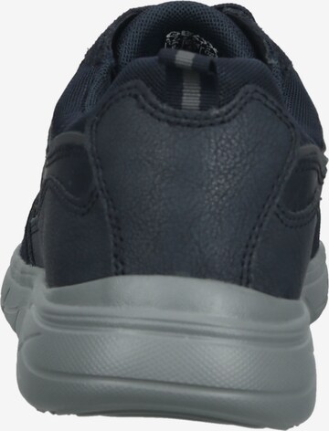 GEOX Sneaker in Blau