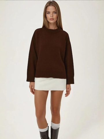 Hiccup Sweter w kolorze brązowy: przód