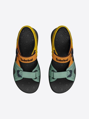 Chaussures ouvertes TIMBERLAND en vert