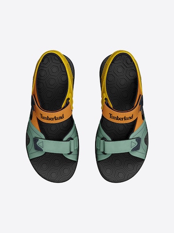 TIMBERLAND Avonaiset kengät värissä vihreä