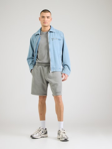 Pegadorregular Hlače - siva boja