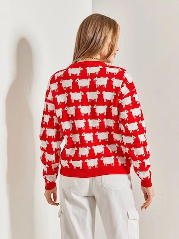 Bianco Lucci - Pullover em vermelho