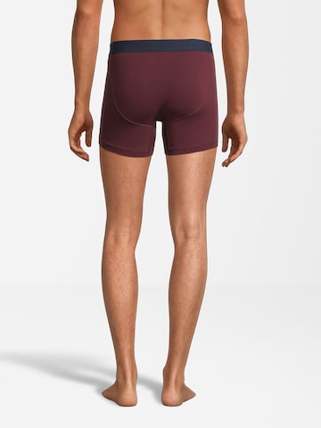 AÉROPOSTALE Boxershorts in Grau