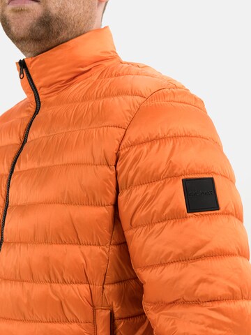 CALAMAR Tussenjas in Oranje