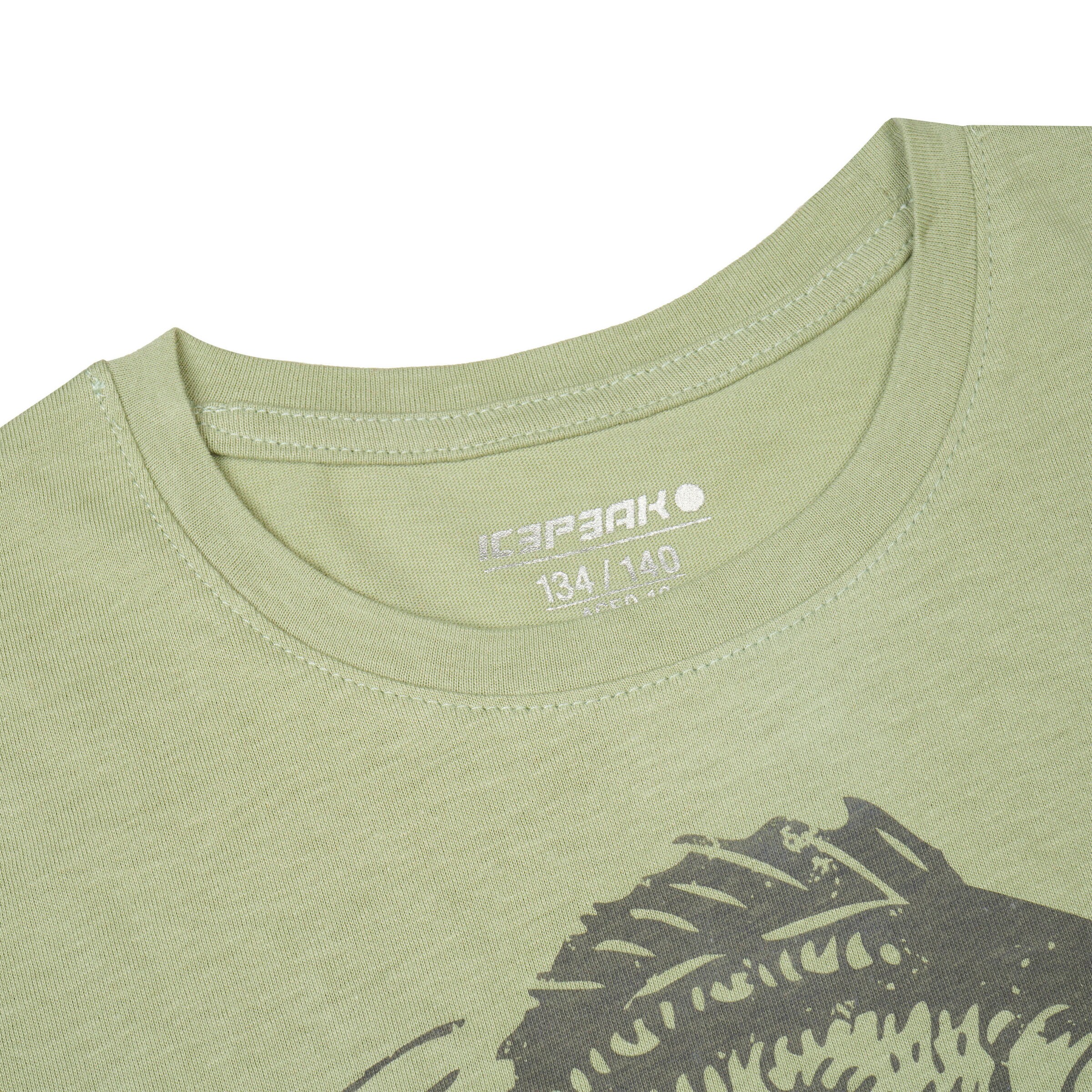 ICEPEAK Shirt in Green