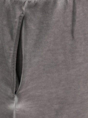 Regular Pantalon de sport NEBBIA en gris