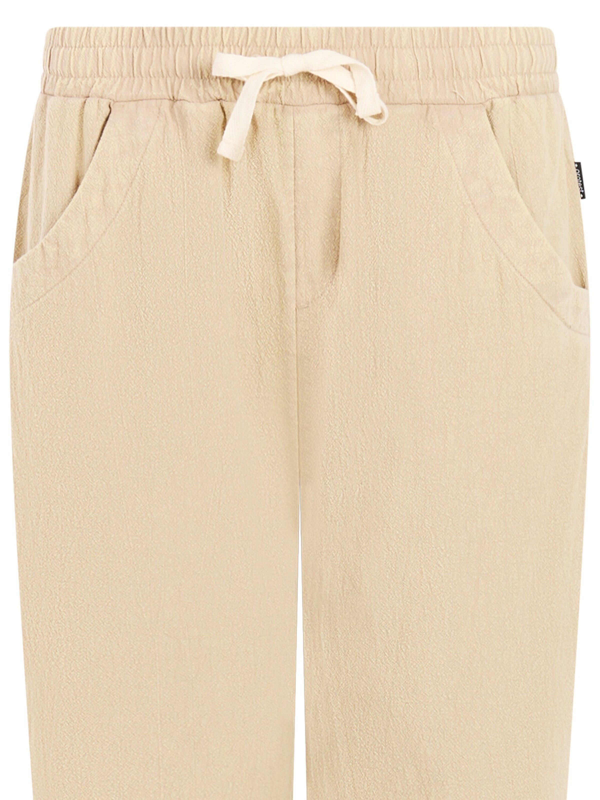 PROTEST Regular Hose 'PRTExline'‌‌‌‌‌‌‌ in Beige