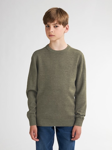 Petrol Industries Sweater in Green: front