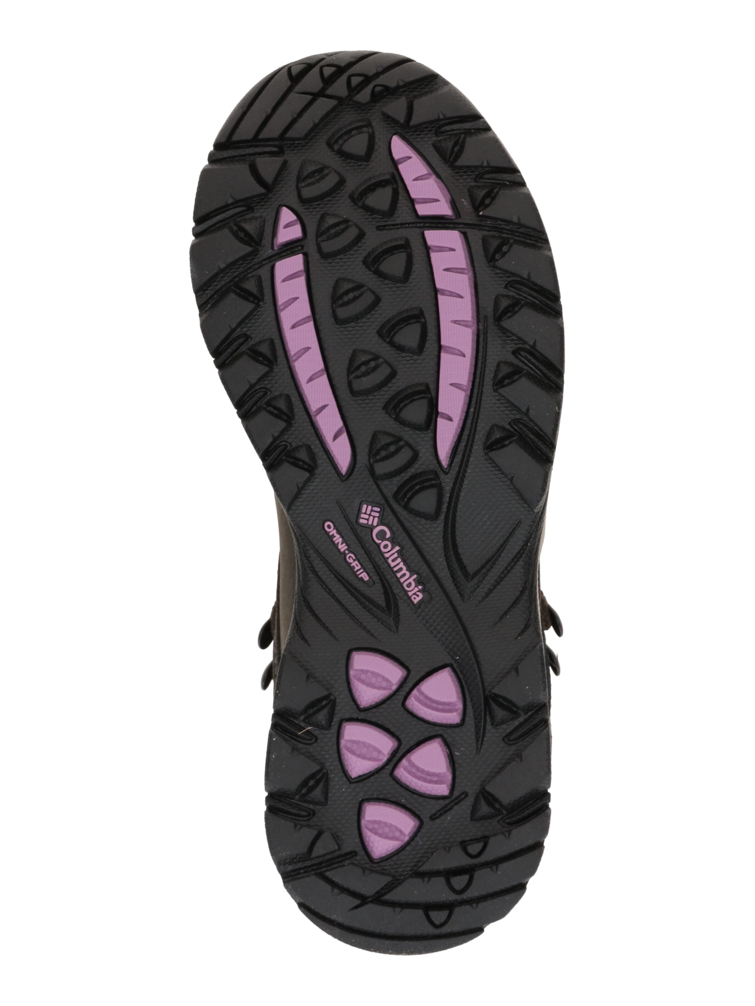 COLUMBIA Ботинки 'NEWTON RIDGE™ PLUS' в Коричневый