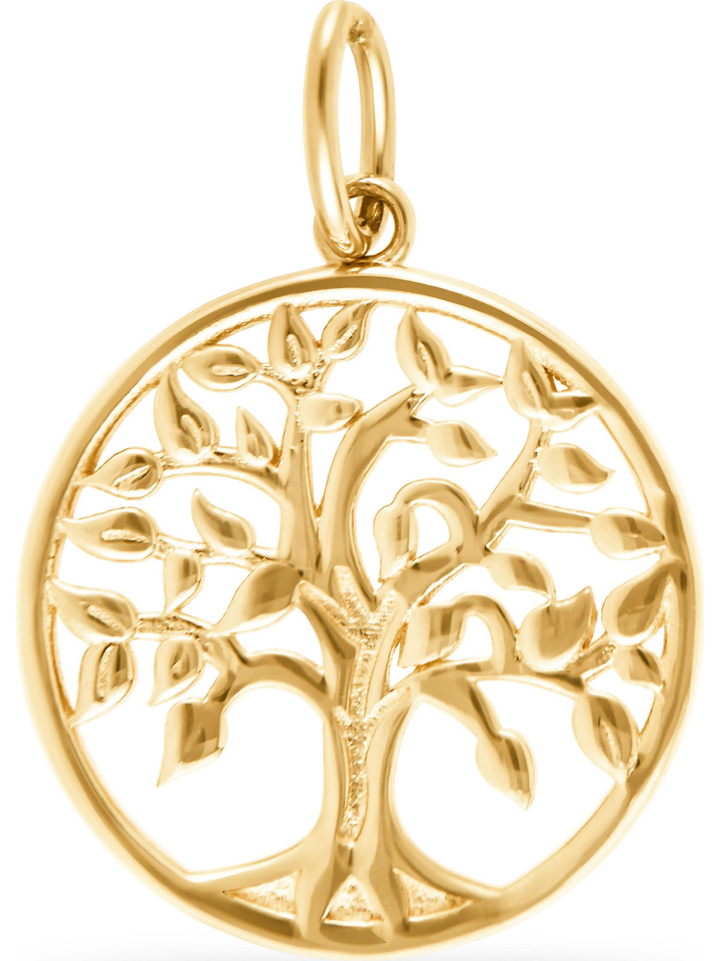 FAVS Anhänger in Gold: Vorderseite