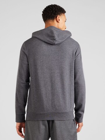 Polo Ralph Lauren Sweatshirt in Grey