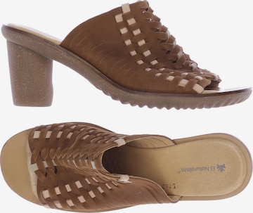 EL NATURALISTA Sandals & High-Heeled Sandals in 40 in Brown: front