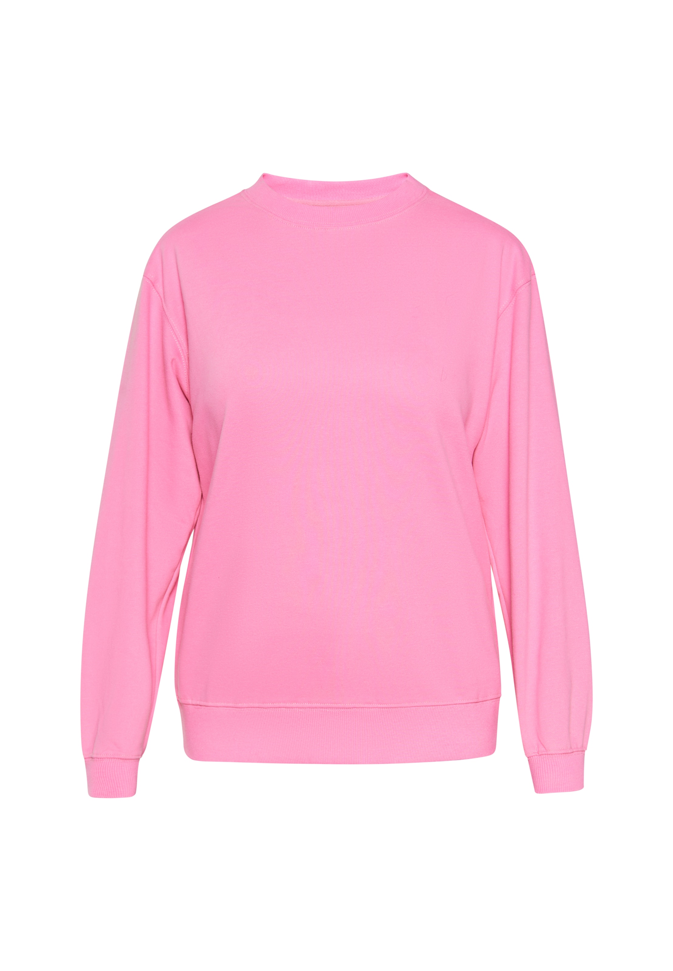 ebeeza Sweatshirt 'Everyday Fashion' in Roze: voorkant