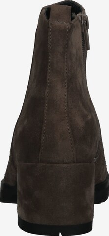 Högl Ankle Boots in Brown