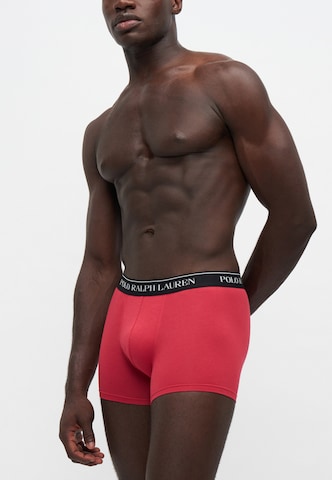 mėlyna Polo Ralph Lauren Boxer trumpikės 'CLSSIC'