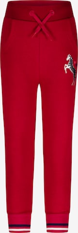 SALT AND PEPPER Pants 'Star Stable' in Red: front
