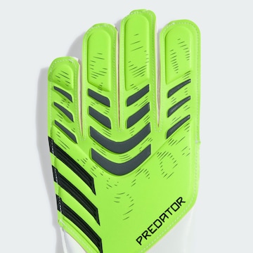 Gants de sport 'Predator' ADIDAS PERFORMANCE en vert