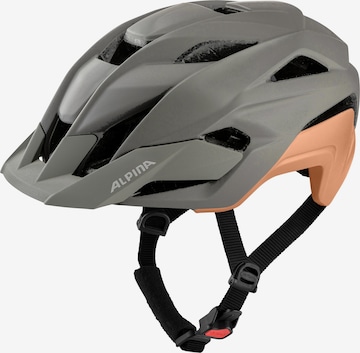 Alpina Helmet 'Kamloop' in Grey: front