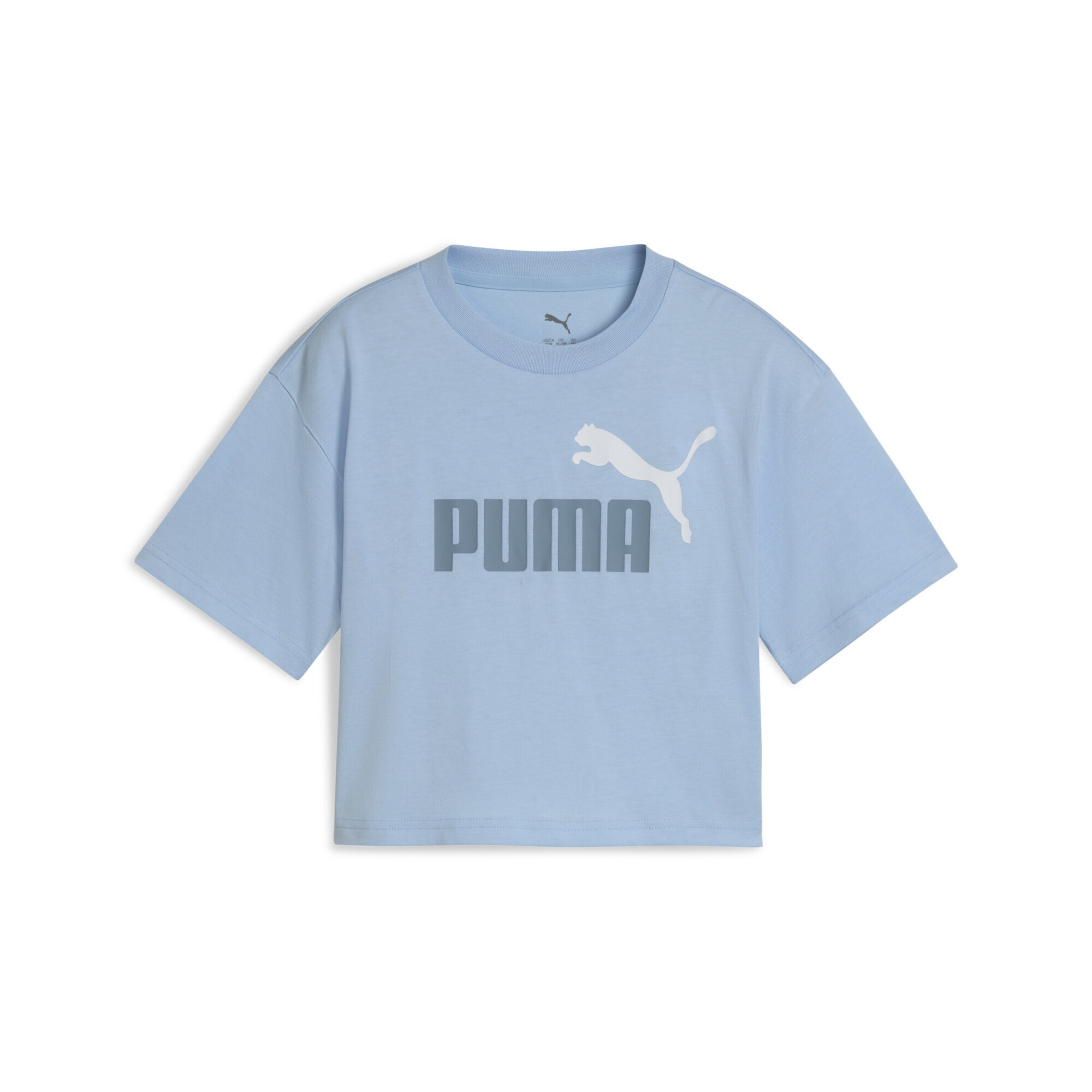 PUMA T-Shirt 'Essentials No. 1' in Blau: Vorderseite