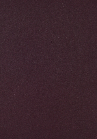 LASCANA Bikinibroek in Lila