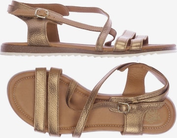 Apple of Eden Sandalen 40 in Gold: predná strana