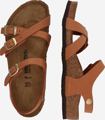 BIRKENSTOCK Open shoes 'Kumba' in Brown