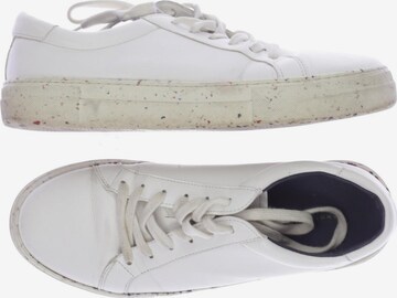 TOMMY HILFIGER Sneakers & Trainers in 41 in White: front