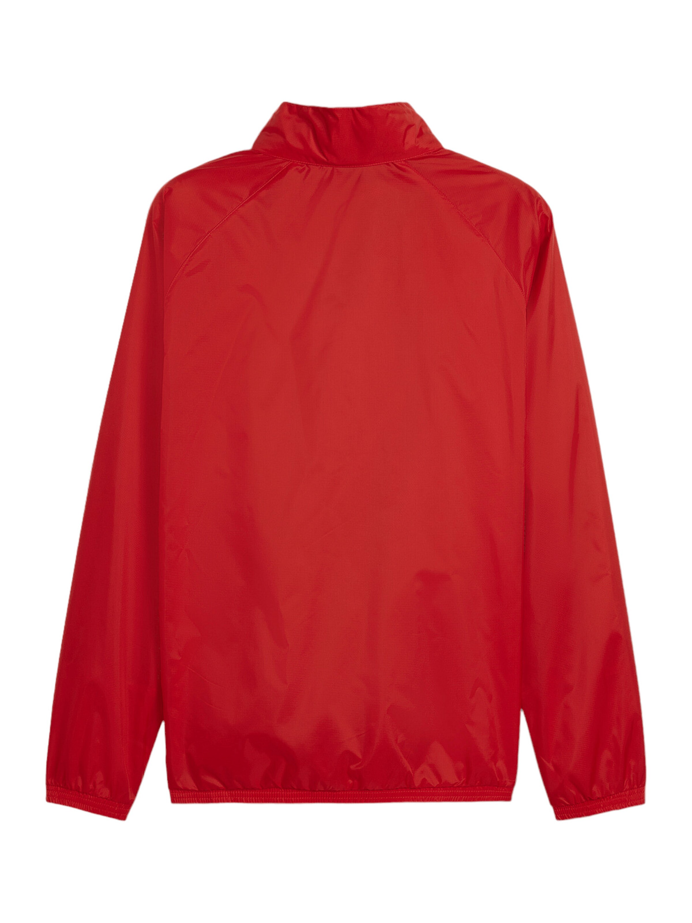 PUMA Athletic Jacket 'TeamGoal' in Red