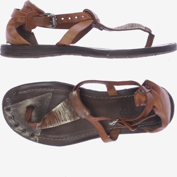 A.S.98 Sandals & High-Heeled Sandals in 41 in Brown: front