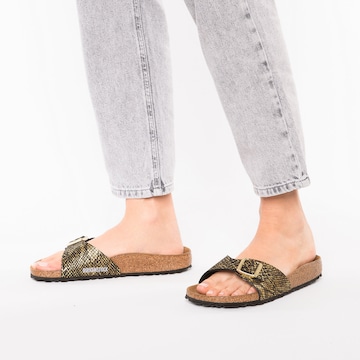 Mule BIRKENSTOCK en or