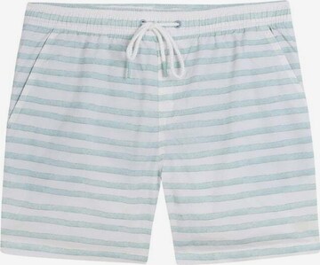 Scalpers Board Shorts 'Watercolor' in Green: front